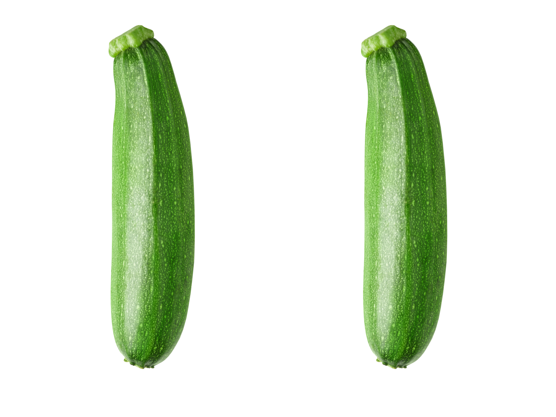 Zucchetti 2. Klasse