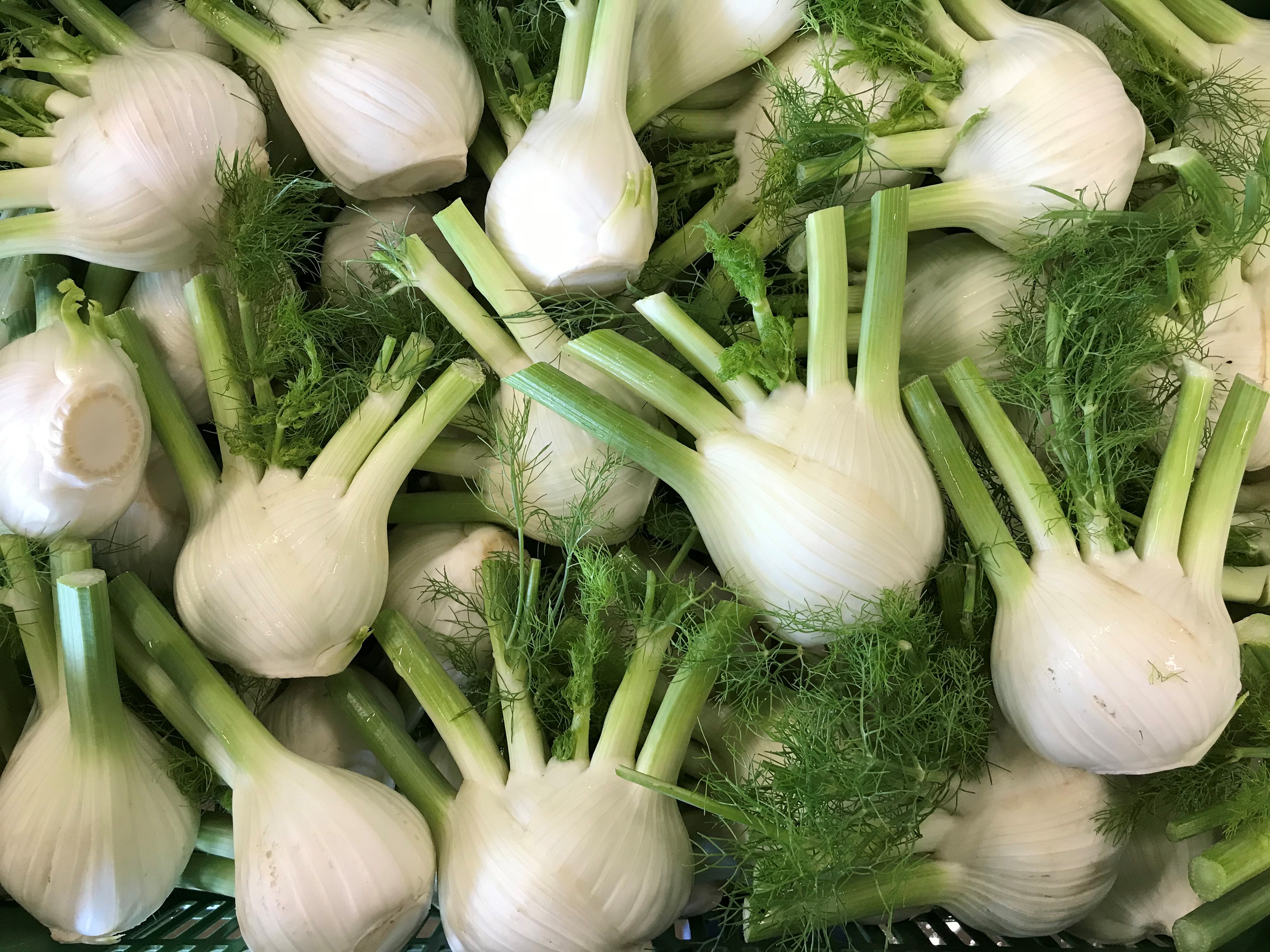 Überbackener Fenchel