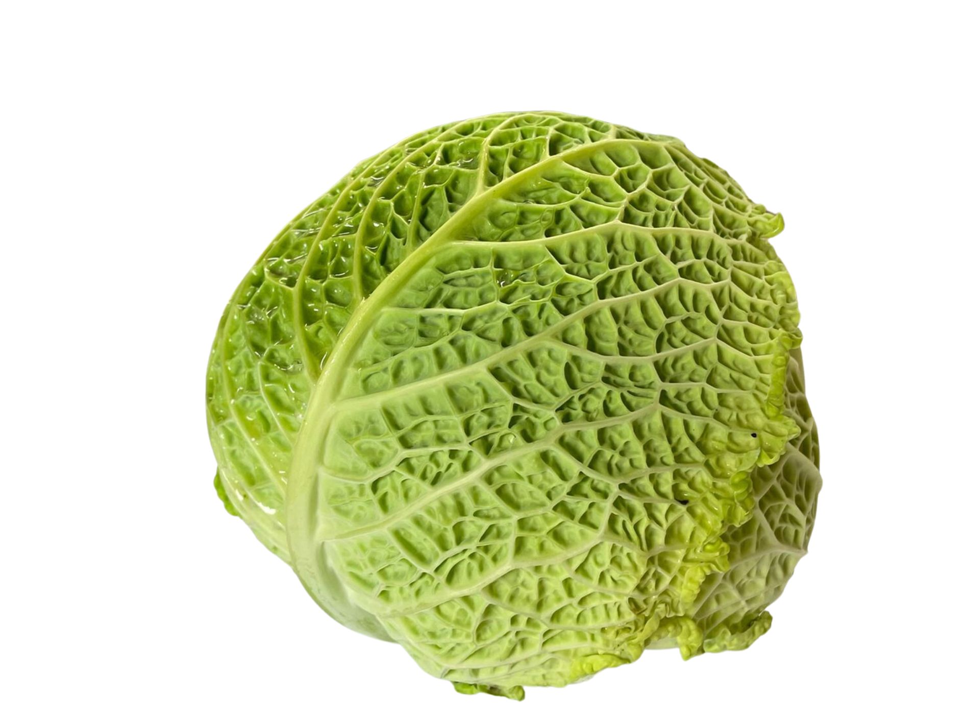 Wirz